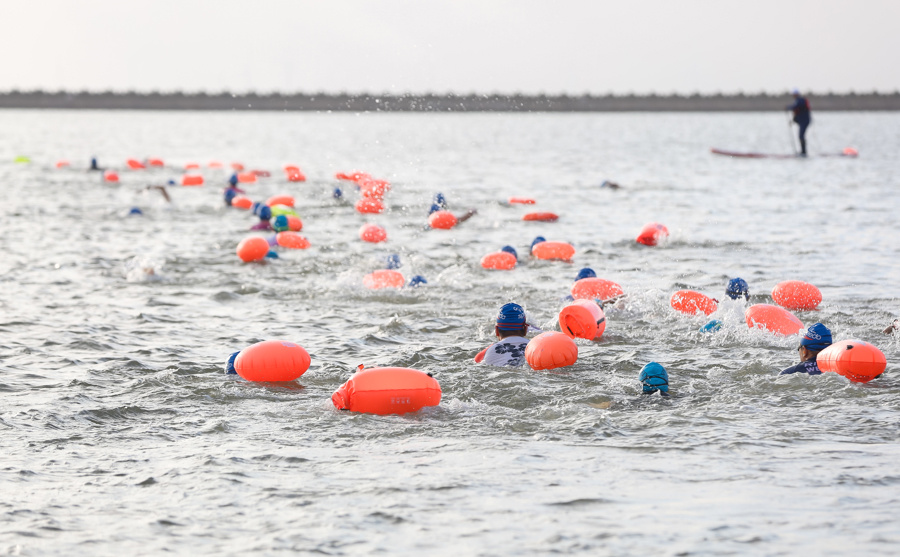 精心打造集, 此次展位布, 蕾表示